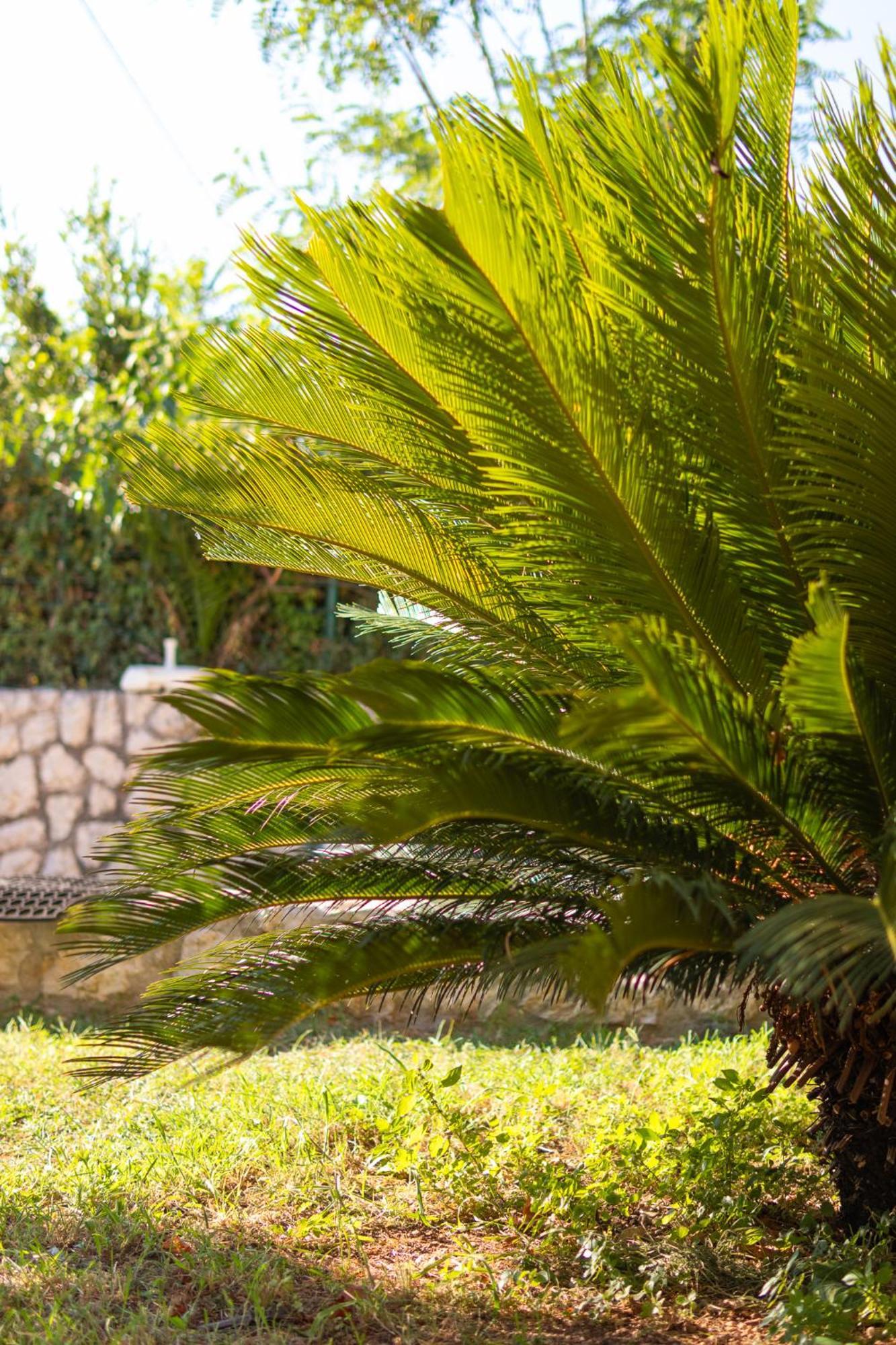 Kadena Apartments Kotor Zewnętrze zdjęcie