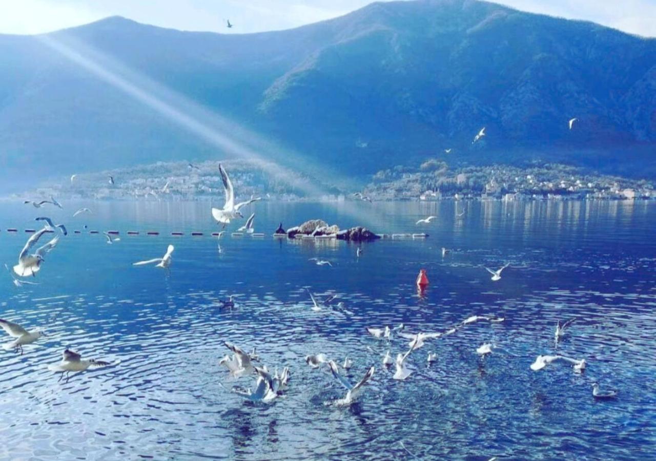 Kadena Apartments Kotor Zewnętrze zdjęcie